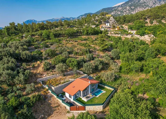 فيلة Yaka Esinti