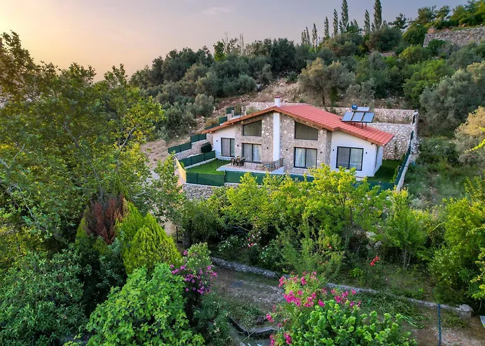 Yaka Esinti Yakaköy